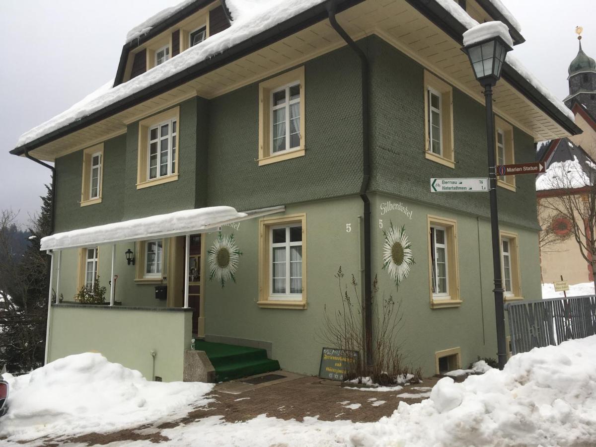 Apartamento Haus Silberdistel Todtmoos Exterior foto